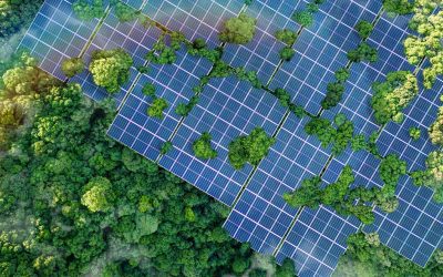 Searching for Green Home Improvements? Why Solar Should Be Your Number One Choice